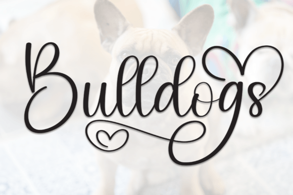 Bulldogs: Elevating Design with Elegant Script Typography